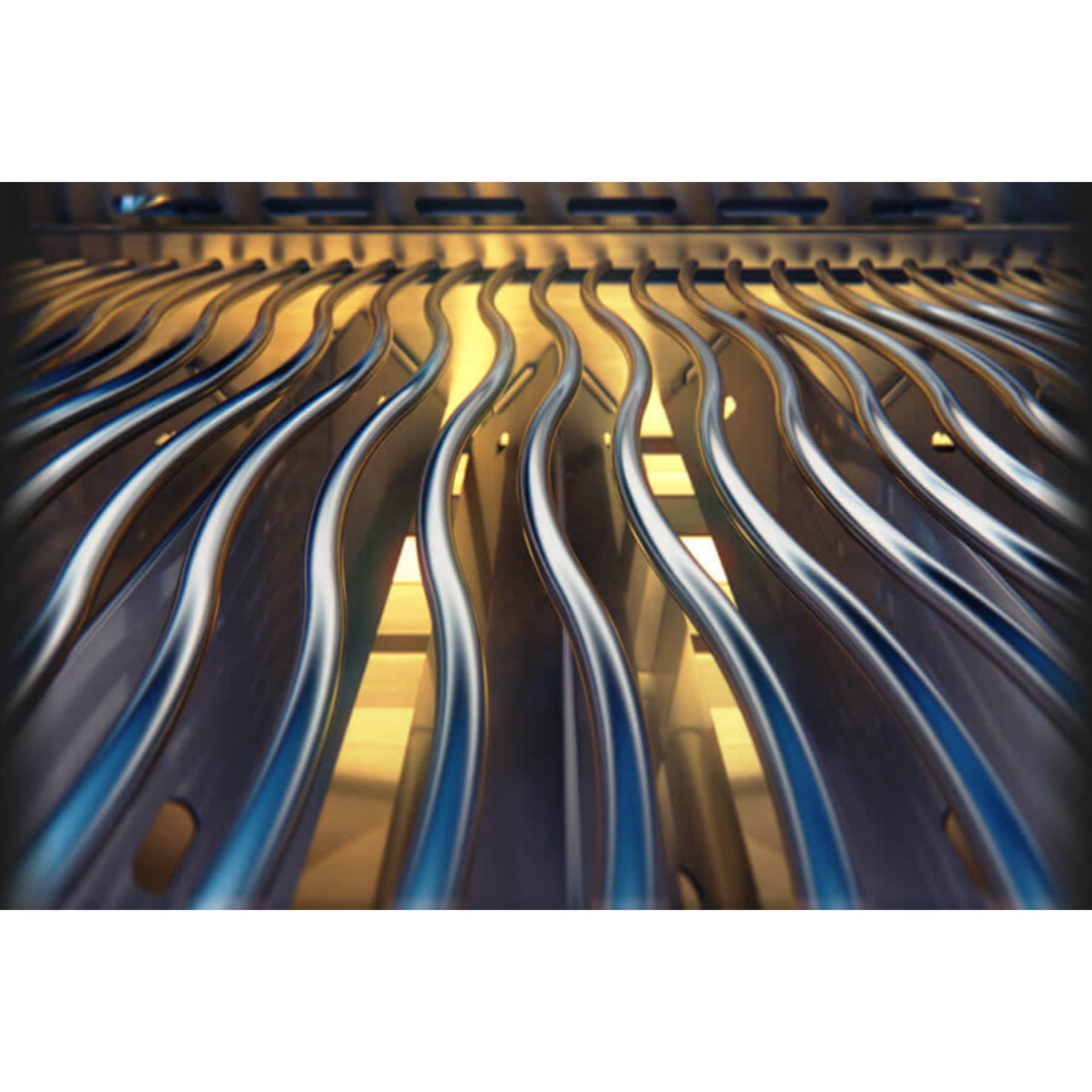 Napoleon Gas Grill withGrill Grates