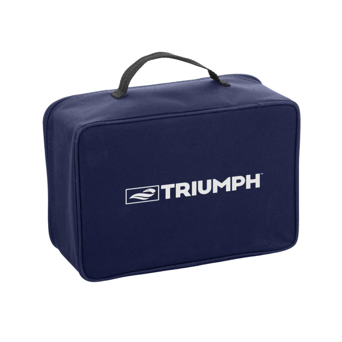 Blue carrying case for wooded lawn dice game