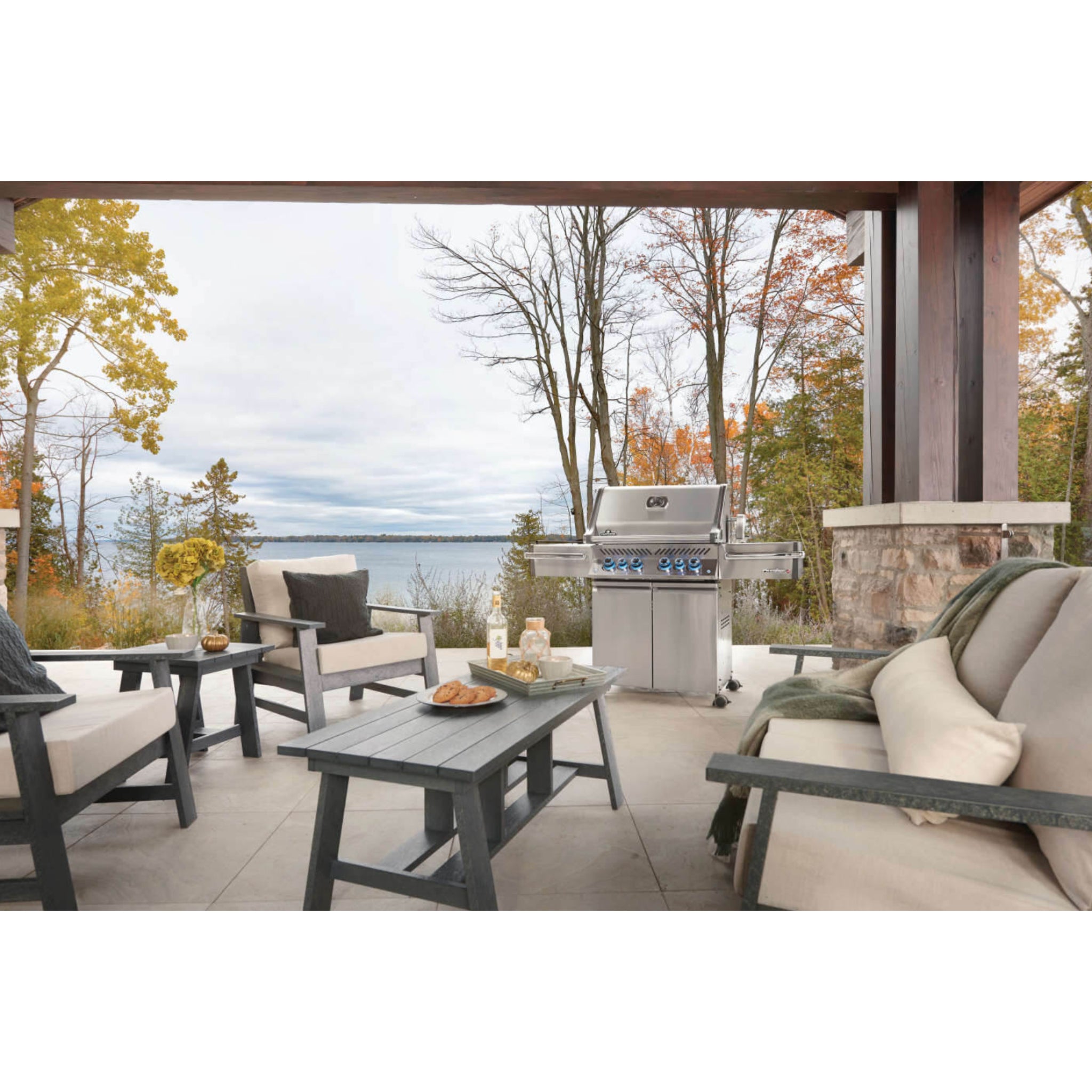 Napoleon Prestige® Pro 500 Professional Grill with Infrared Side & Rear Burners