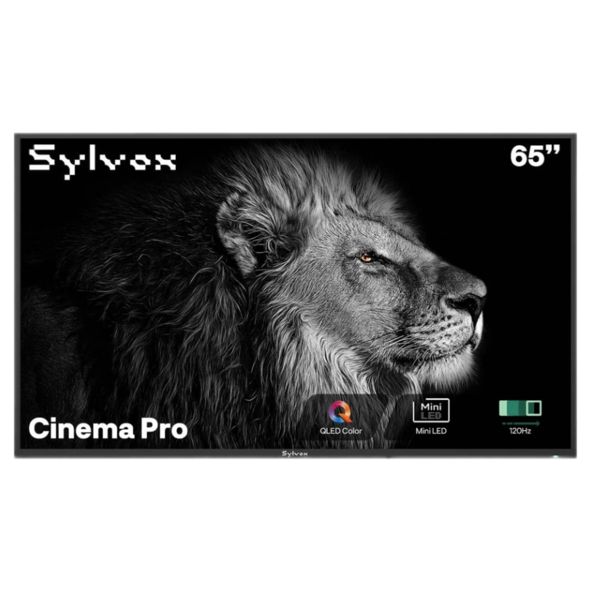 Sylvox 65" Outdoor Google TV - Cinema Pro Helio QLED 120 Hz | Full Sun Collection -  Outdoor TV -  Sylvox 