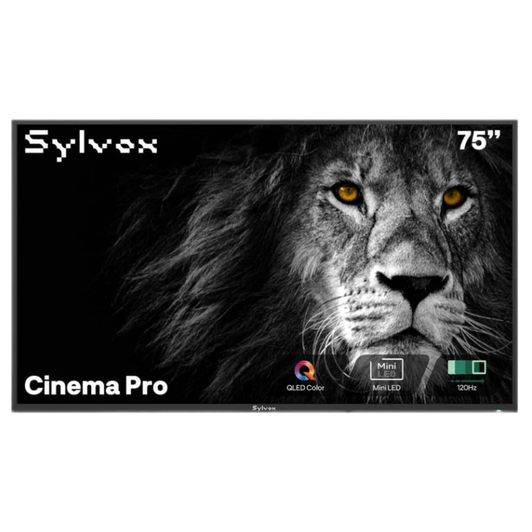 Sylvox 75" Outdoor Google TV - Cinema Pro Helio QLED 120 Hz | Full Sun Collection -  Outdoor TV -  Sylvox 