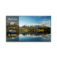 Sylvox 65" Outdoor Waterproof Google TV - Pool Pro 3.0 | Full Sun Collection